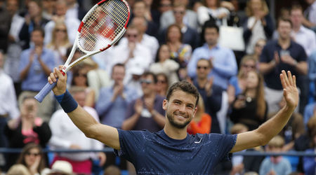 grigor dimitrov 2014