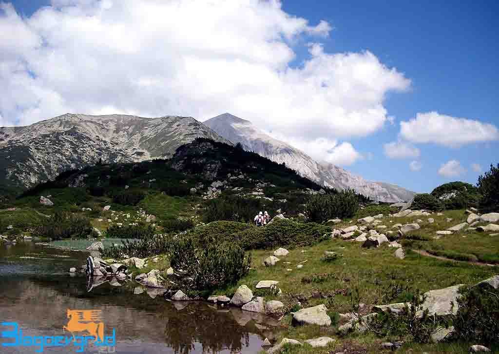 Pirin_Planina116_Blagoevgrad.eu_