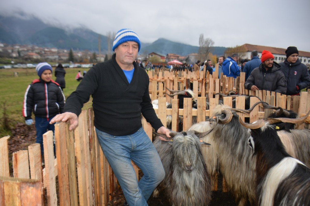 izlojenie-redki-porodi-jivotni-krupnik010