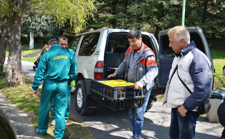 dve-dvoyki-ekzotichni-ptitsi-pusnaha-dnes-v-ezeroto-na-sandanski1