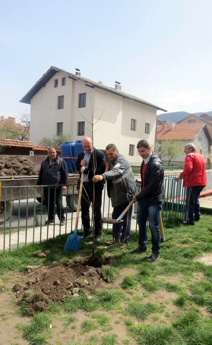 bansko_cvetq_sedmica_gora_201