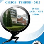 6091plakattriboi2012