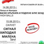 rok_na_rekata_simitli2013
